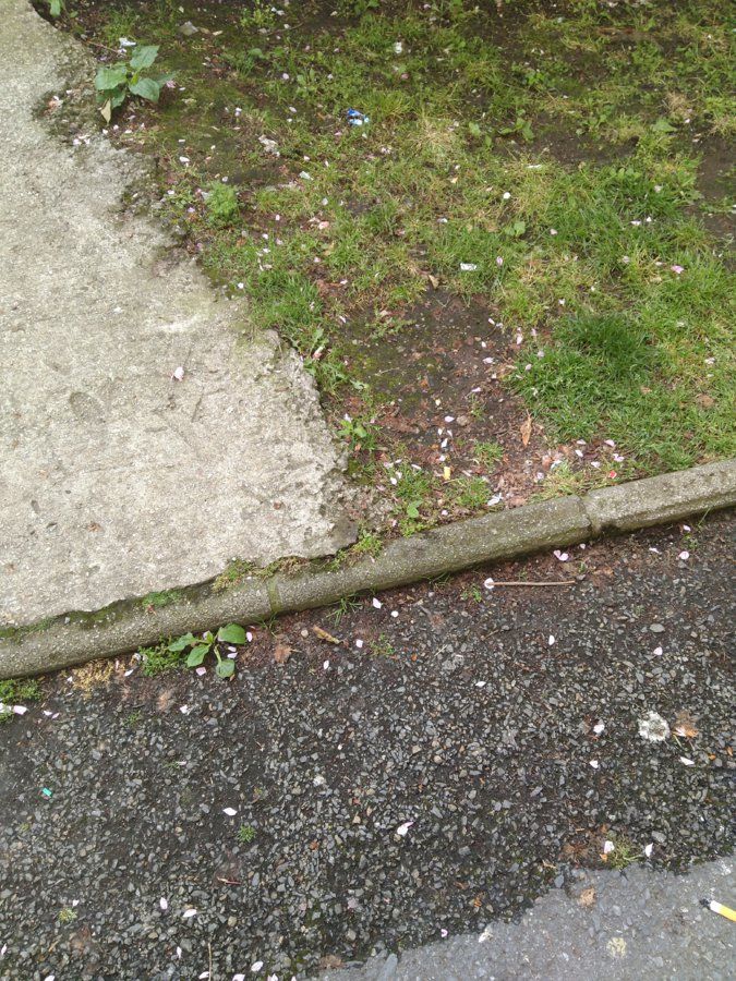 IMG_20160616_140002.jpg