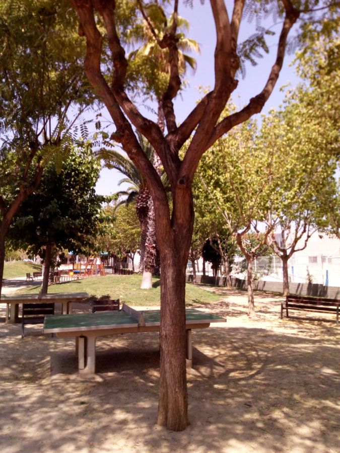 IMG_20160711_124724.jpg