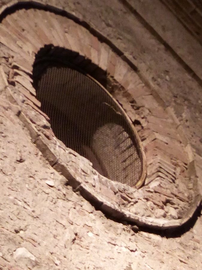 IMG_20160711_225117.jpg
