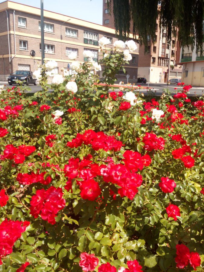 IMG_20160903_131821.jpg
