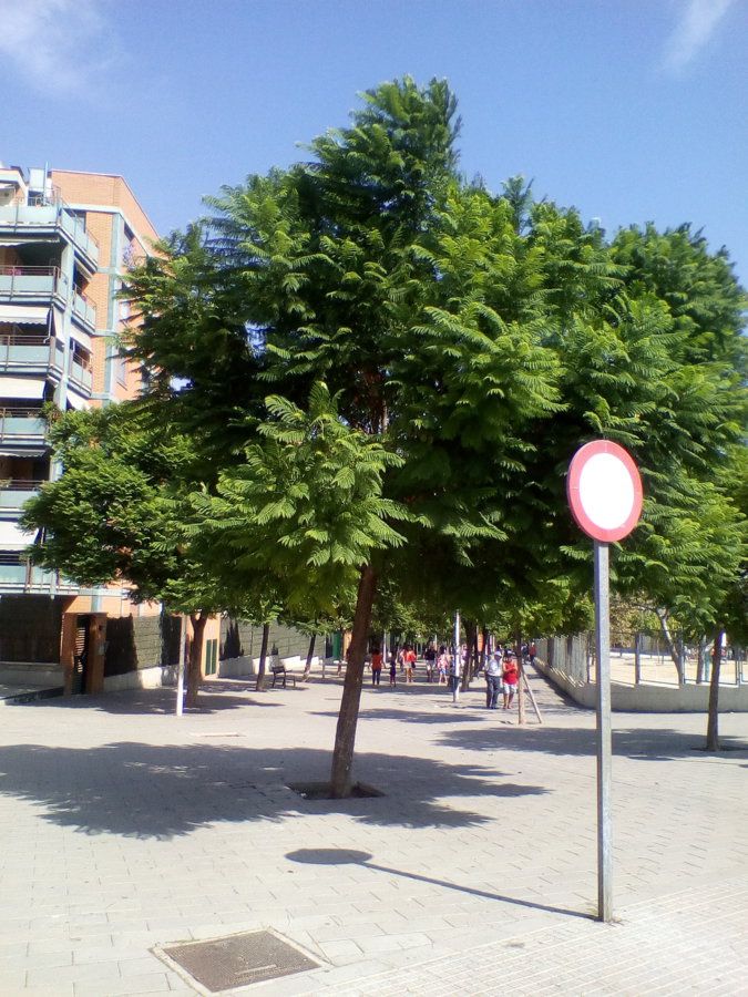 IMG_20160913_150046.jpg