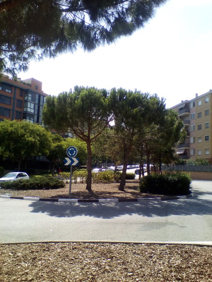 IMG_20160913_150802.jpg