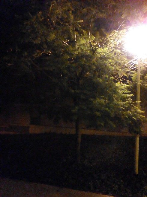 IMG_20160915_235943.jpg