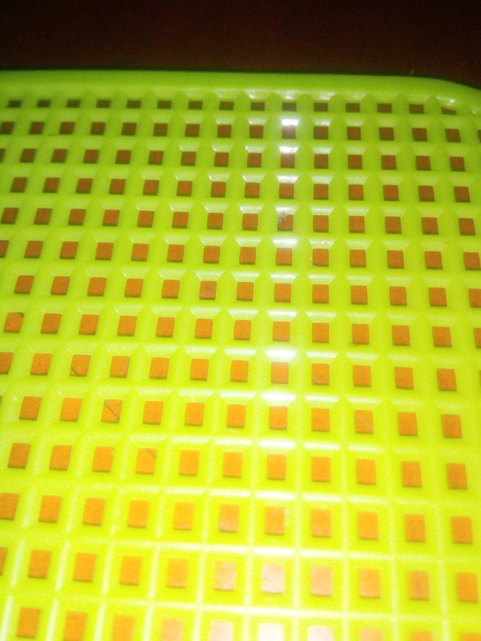 IMG_20160925_143833.jpg