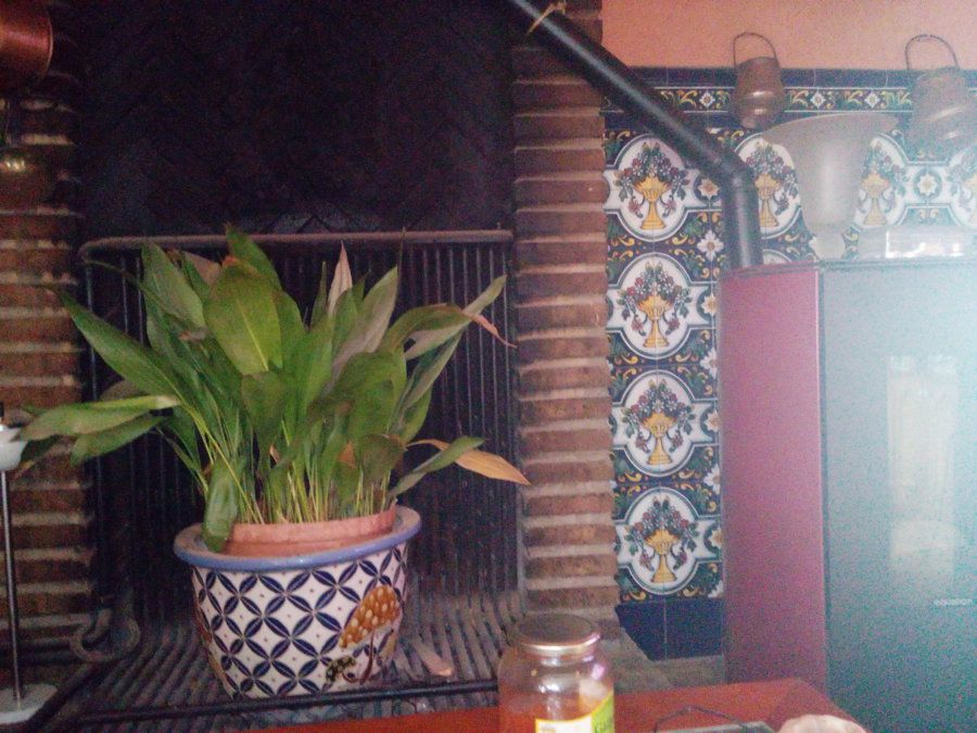 IMG_20160929_133836.jpg