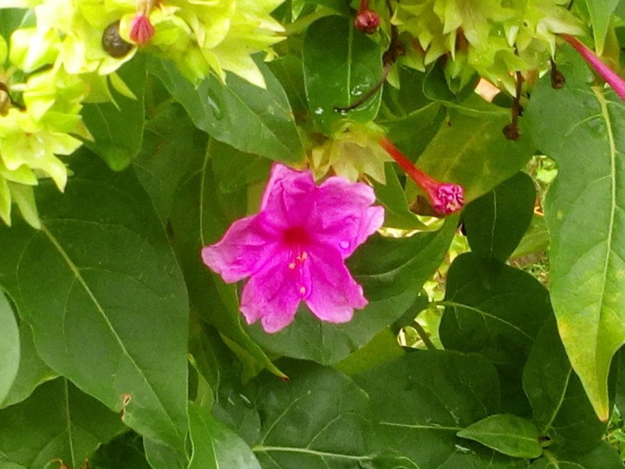 IMG_20161023_123853.jpg