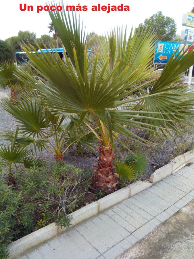 IMG_20161201_133858.jpg