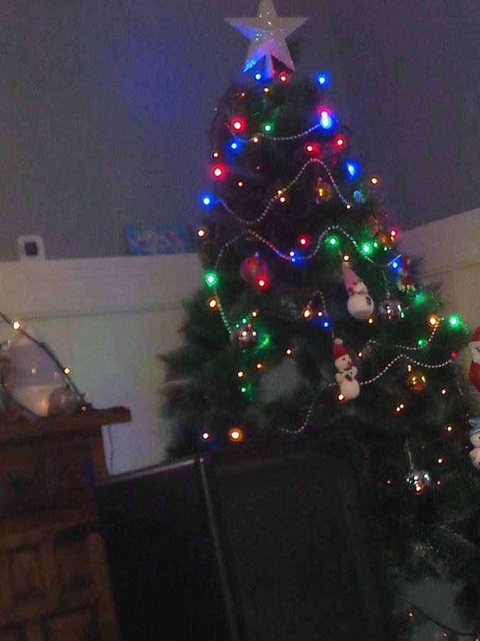 IMG_20161213_193813.jpg