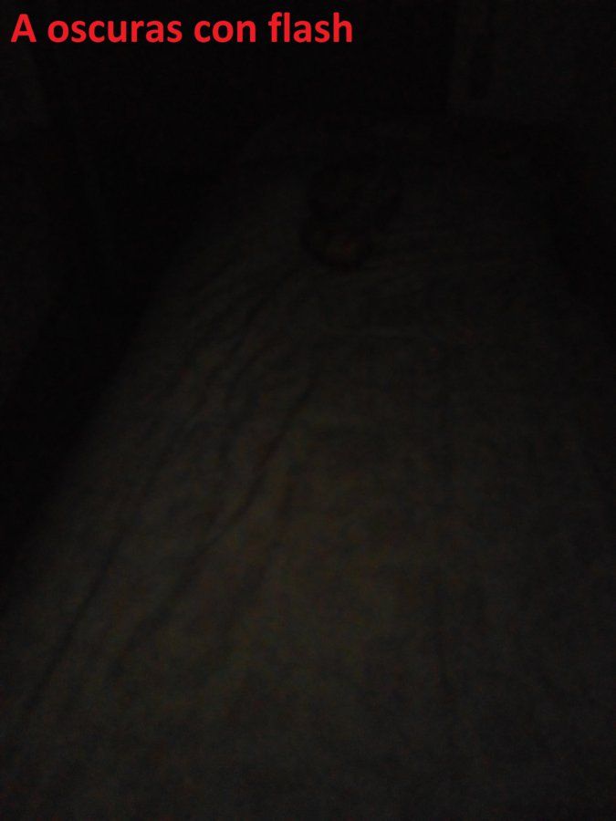 IMG_20170203_204909.jpg
