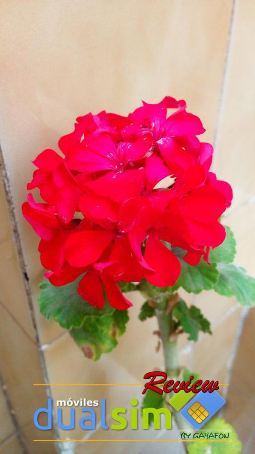 IMG_20170806_145500.jpg