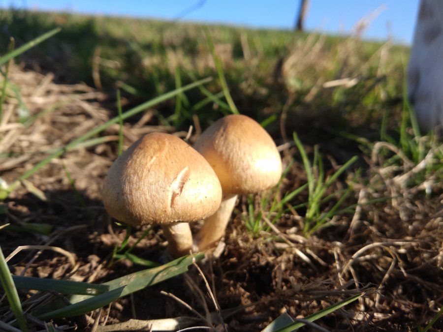 IMG_20170926_175838.jpg