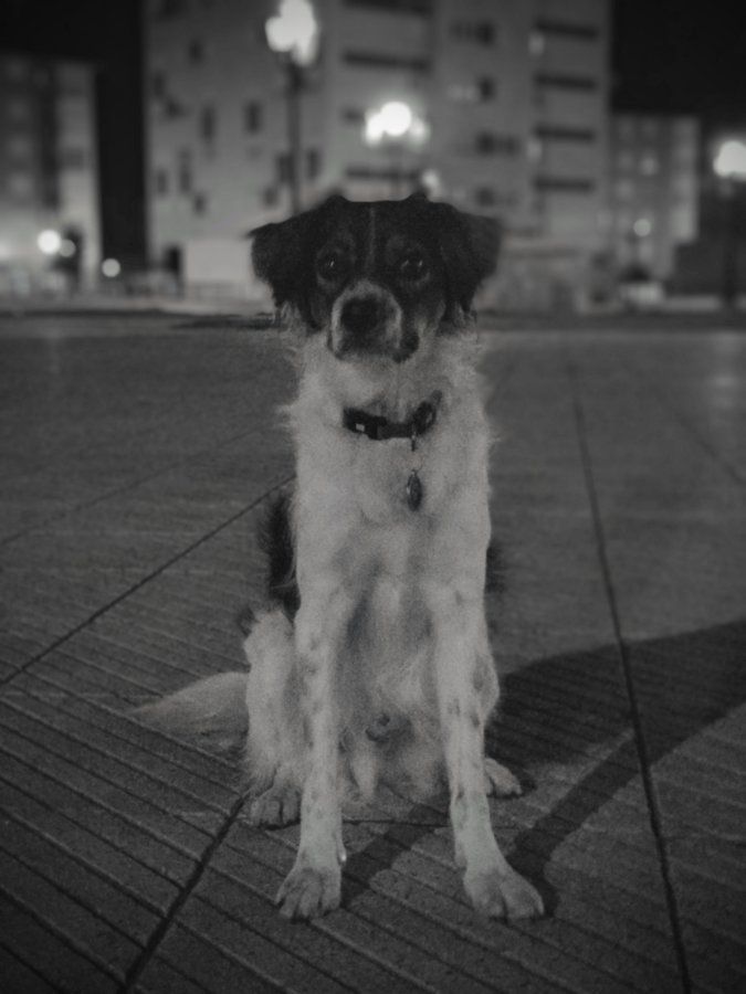 IMG_20170926_220109~2.jpg