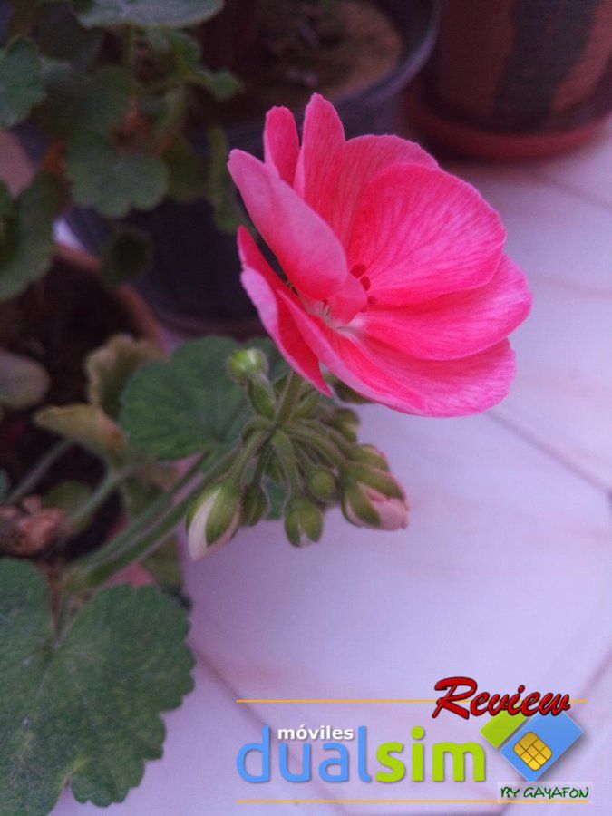 IMG_20171012_150037.jpg