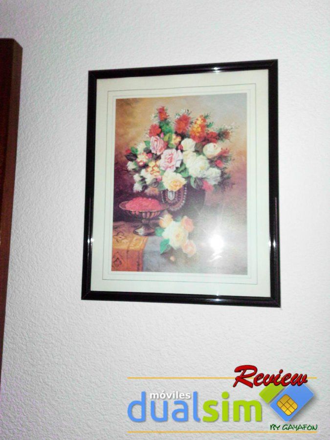 IMG_20171012_150425.jpg