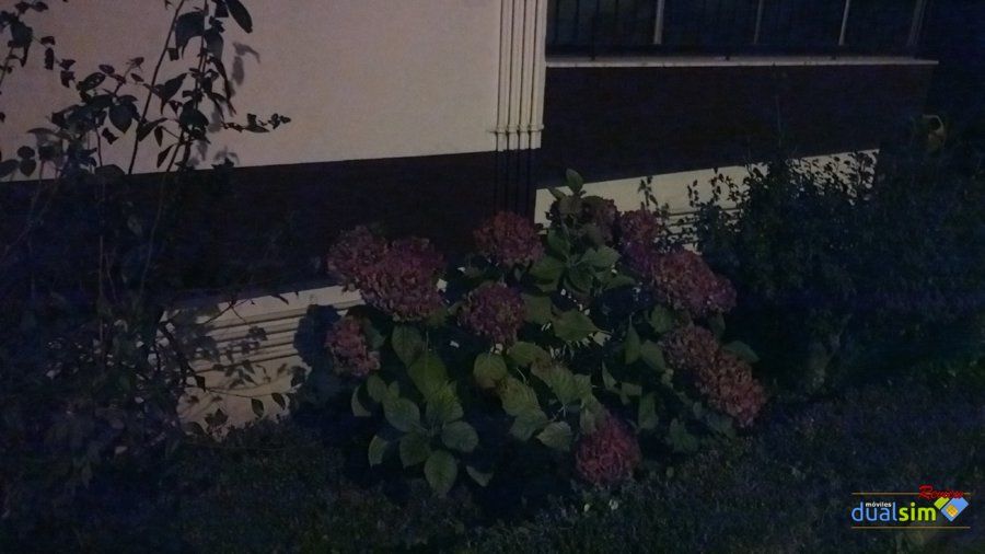 IMG_20171020_053426.jpg