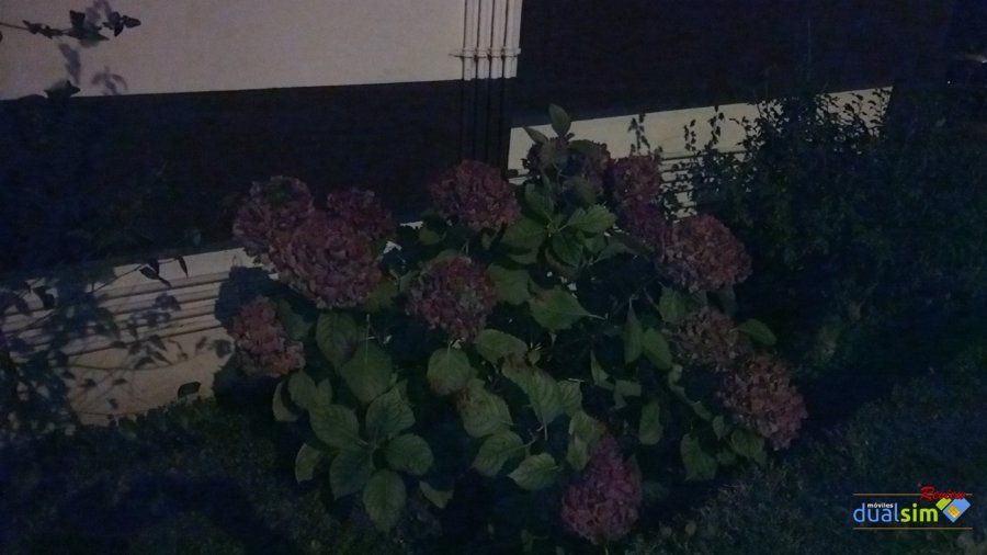 IMG_20171020_221620.jpg