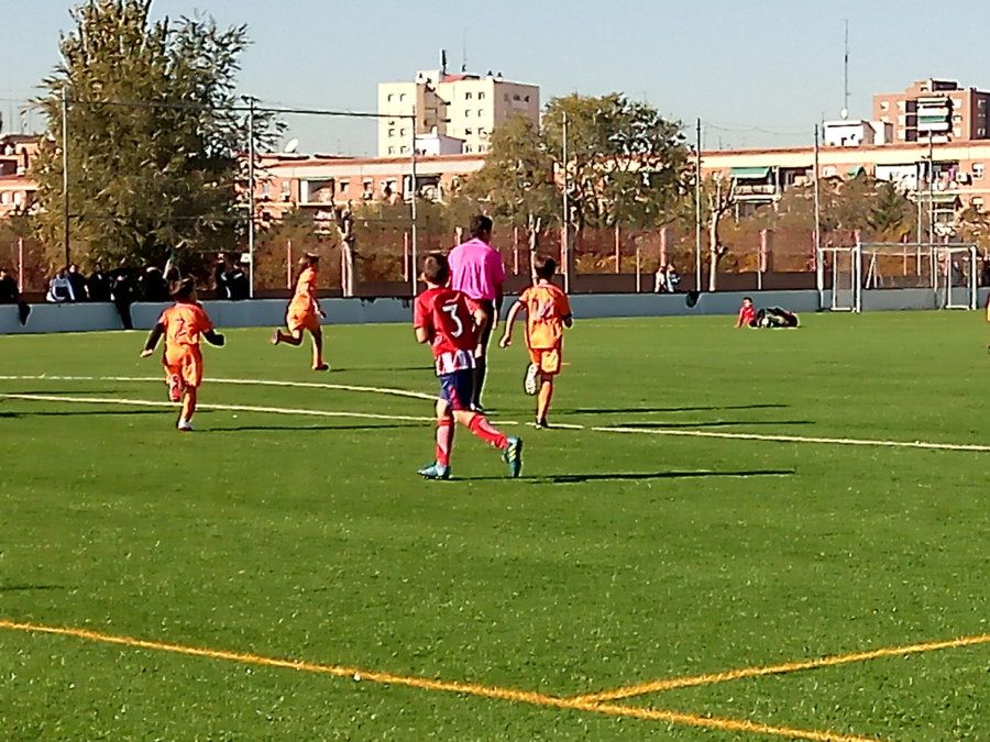IMG_20171111_120755.jpg