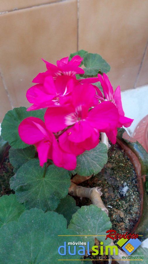 IMG_20171126_150537.jpg