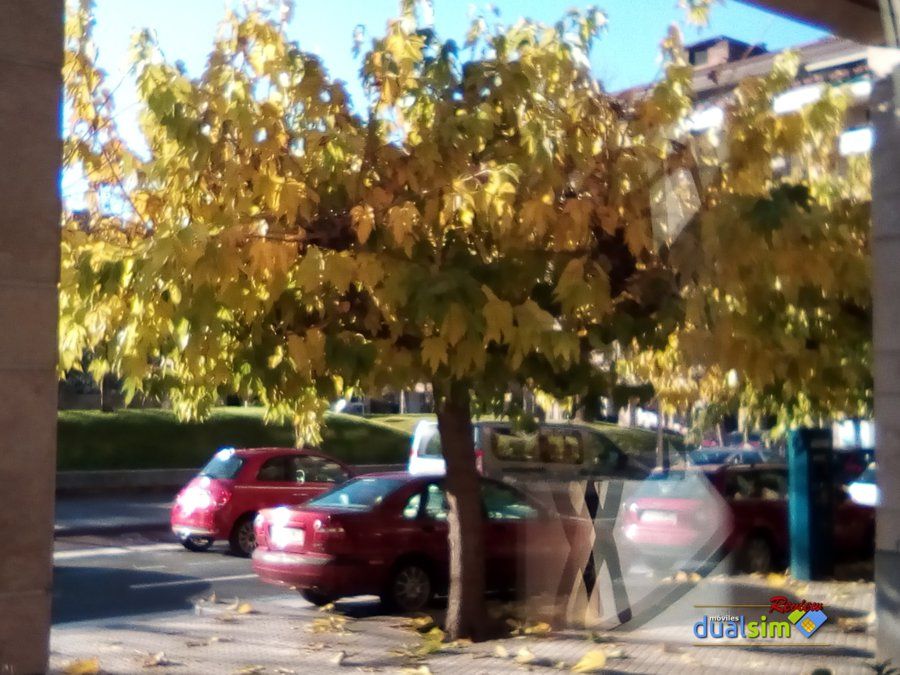 IMG_20171224_152102.jpg