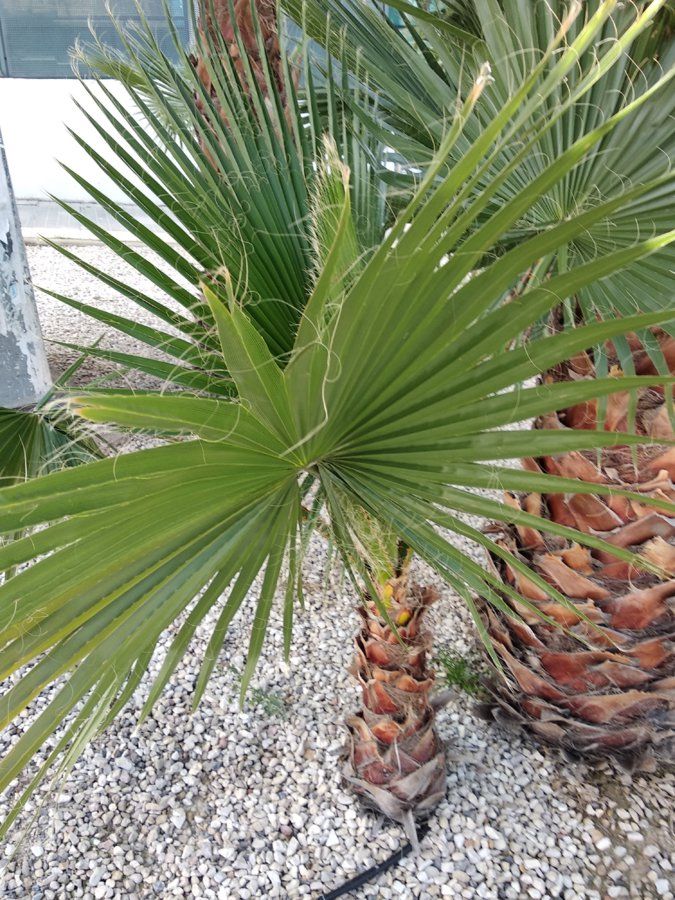IMG_20180306_132230.jpg