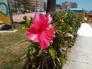 IMG_20180522_134152.jpg