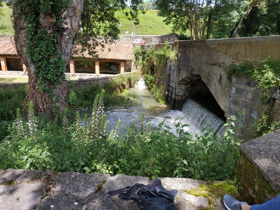 IMG_20180609_151903.jpg