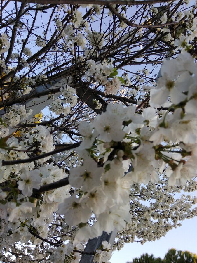 IMG_20190319_185512.jpg