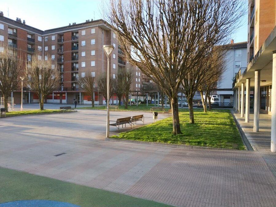 IMG_20190326_074331.jpeg