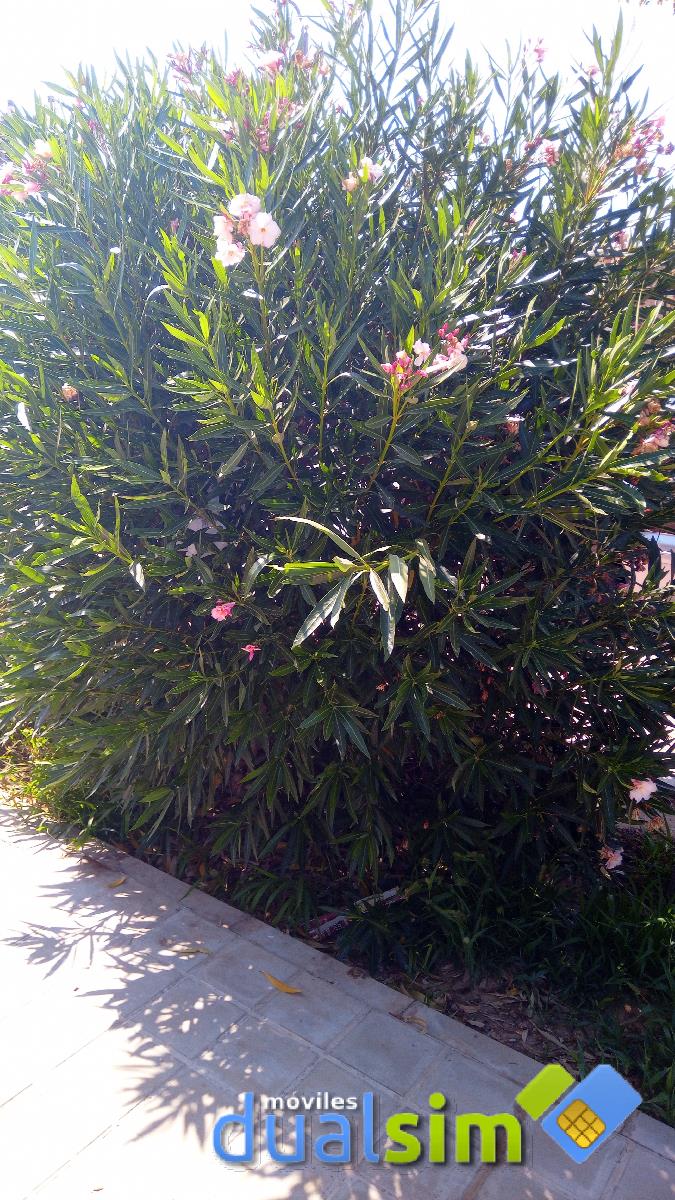 IMG_20190715_112355_4.jpg