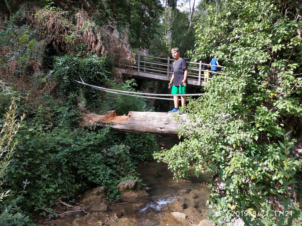 IMG_20190821_172158.jpg