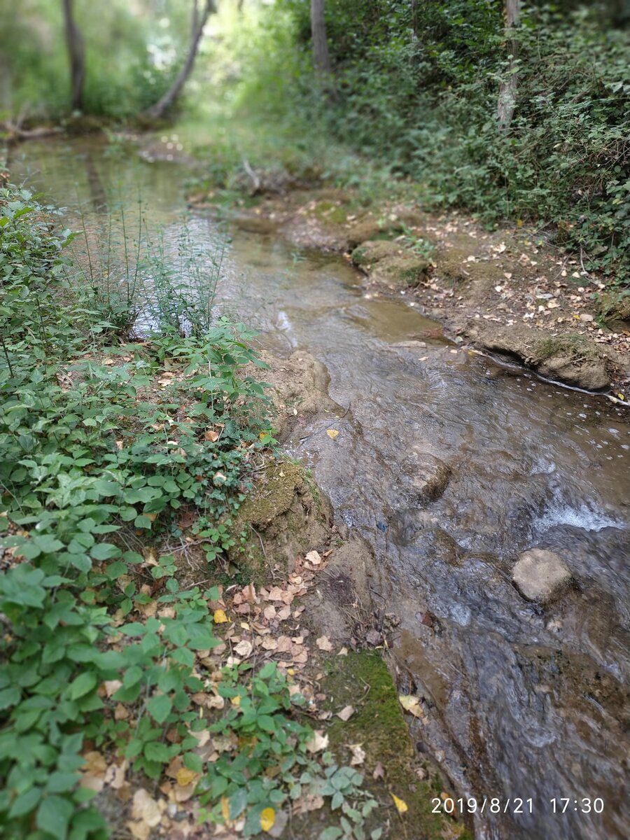 IMG_20190821_173059.jpg