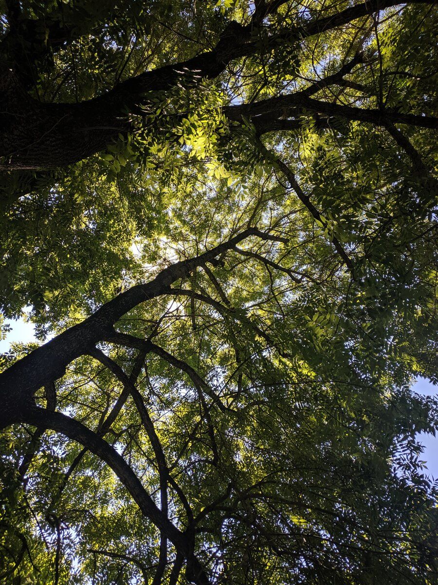 IMG_20190826_124749.jpg