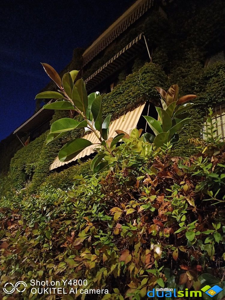 IMG_20190910_212009.jpg