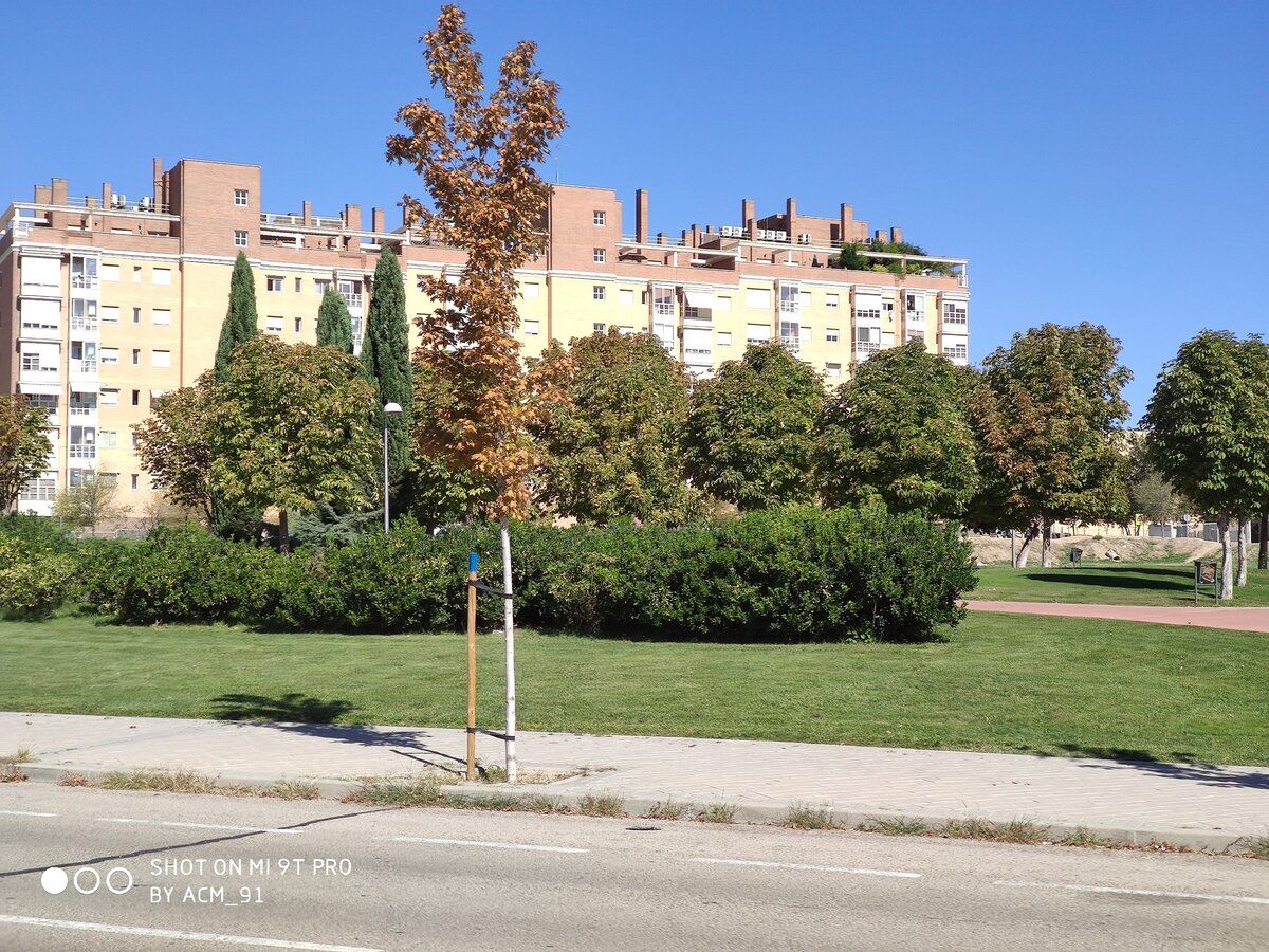 IMG_20190928_121917.jpg