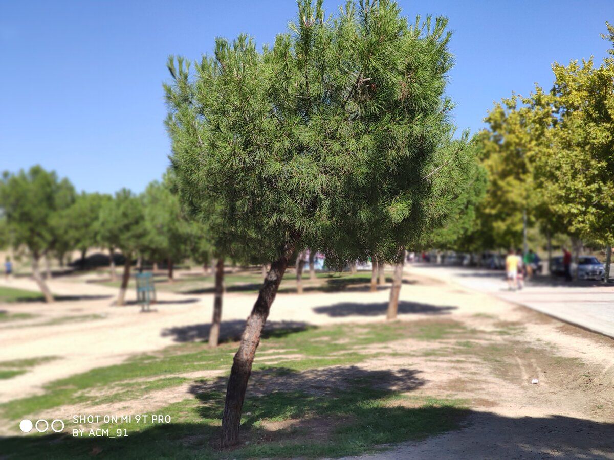 IMG_20190928_123558.jpg