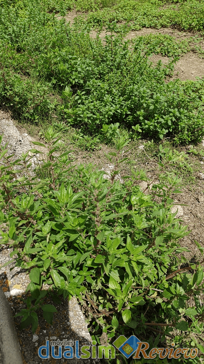 IMG_20200423_141705.png