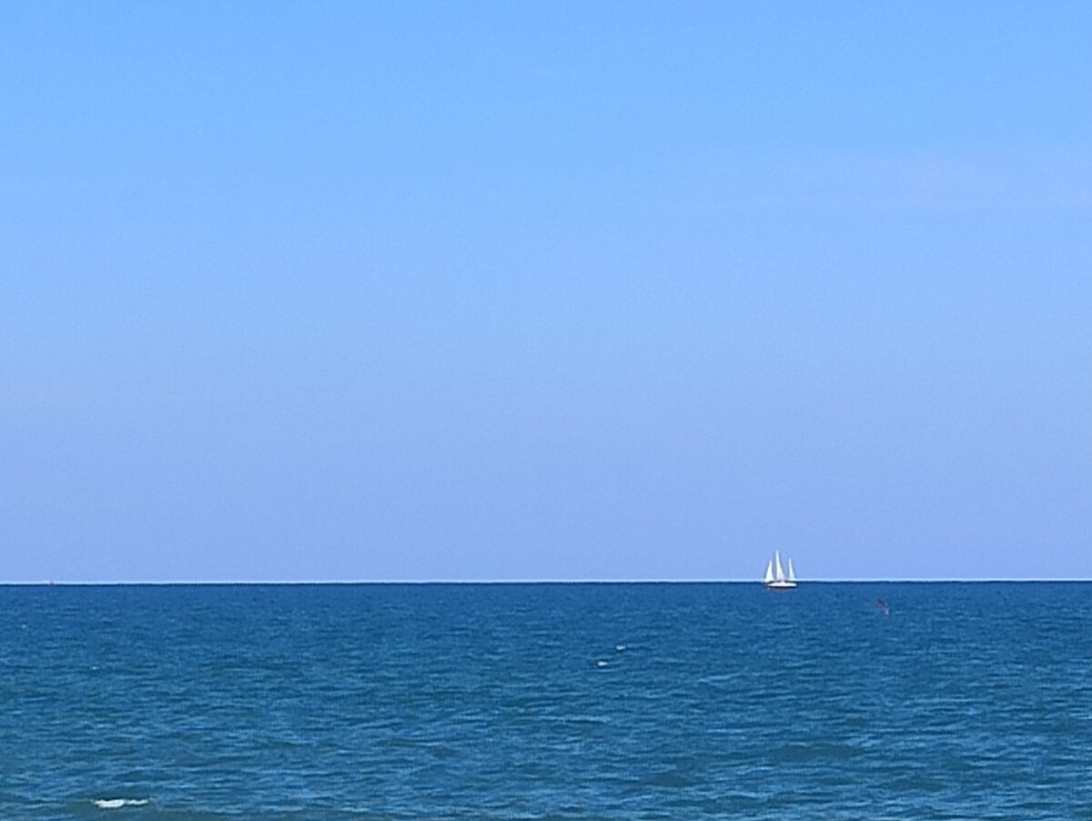 IMG_20230419_161239.jpg