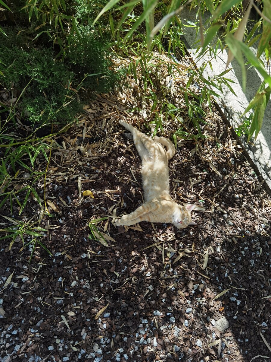 IMG_20230725_105207.jpg