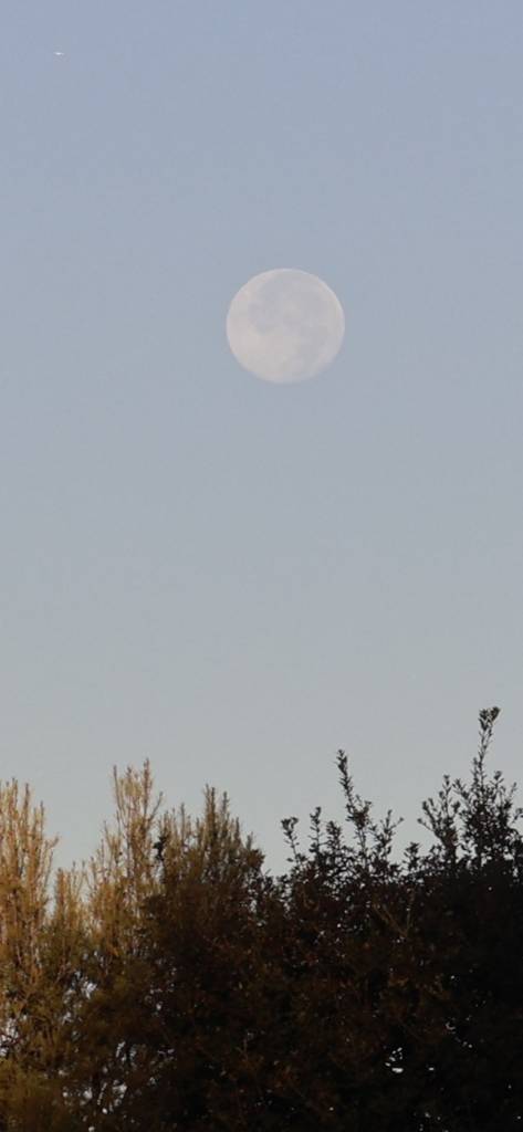 IMG_20260829_101353.jpg