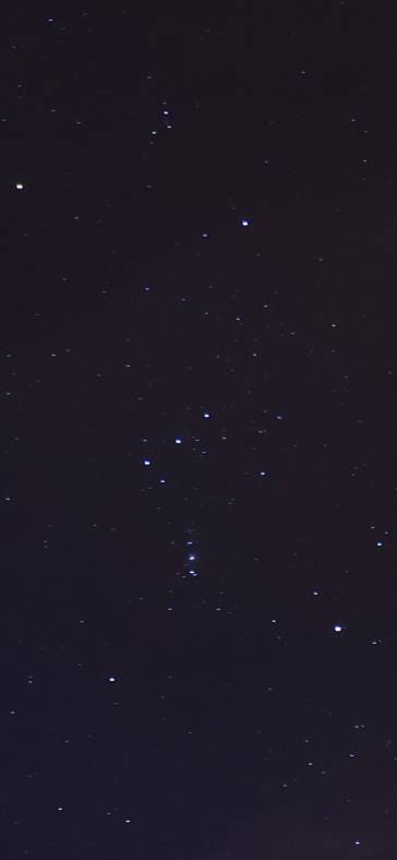IMG_20260922_093458.jpg