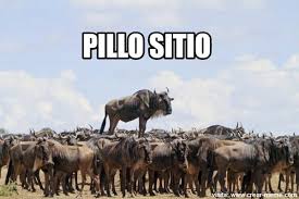 índice.jpg