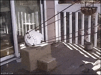 IpeVS.gif