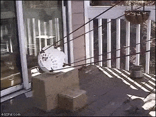 IpeVS.gif