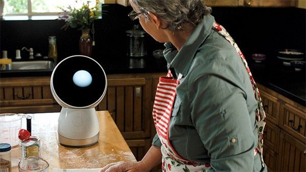 JIBO-3.jpg
