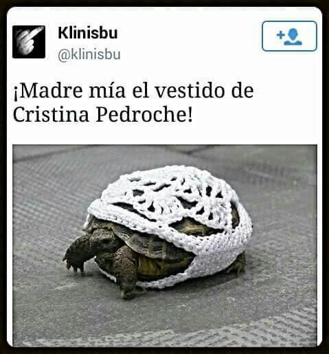 la pedroche.jpg