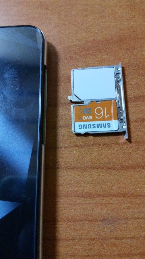 lh3_googleusercontent_com_Gwtk02gFgU9FMNQL7sAbR3gVHp8ifjMkvSGbQYmtNWQ_w558_h991_no_.jpg