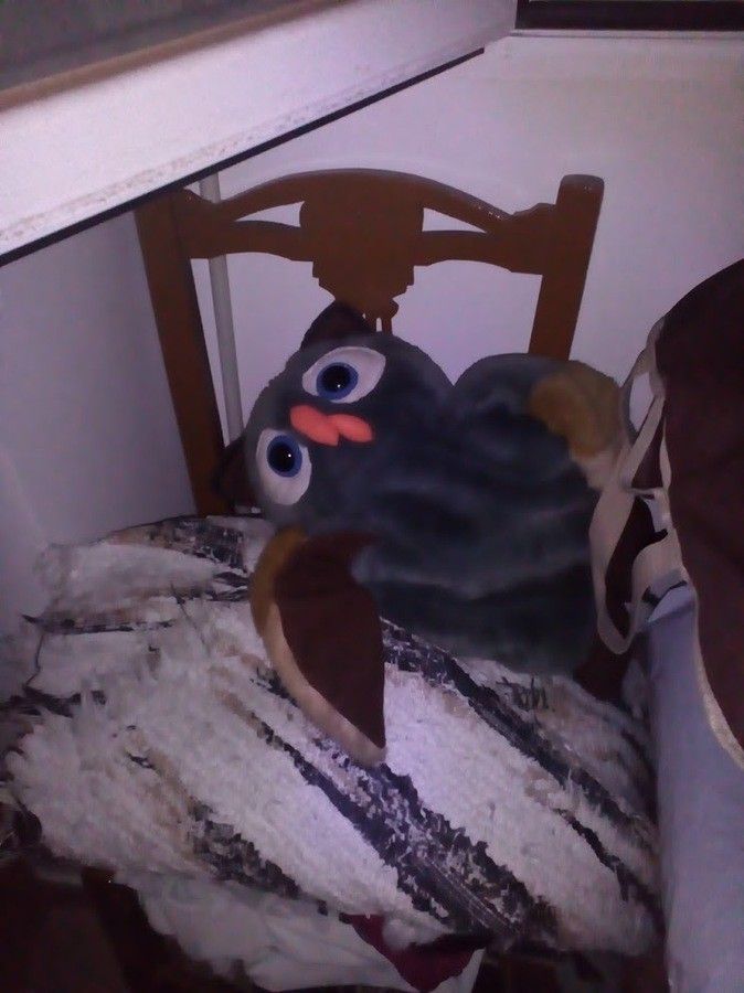 lh3_googleusercontent_com_Qqcs7RFTbatNML9AvU1Gl70gnqL0qMlm1ZQPF72vUik_w744_h991_no_.jpg