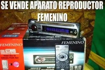 lh6.googleusercontent.com__PPOhsF4hqx0_VF6prbSig1I_AAAAAAAABE4_cWXKkQV_Vek_w346_h231_F29.jpg