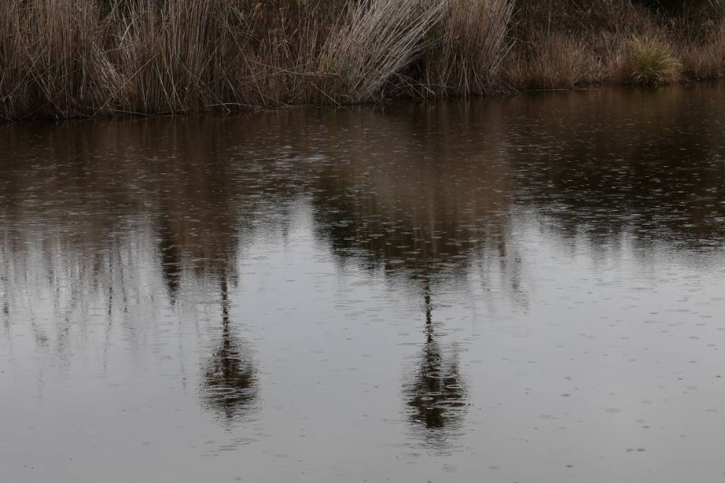lluvia.jpg