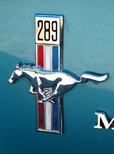 m7.i.pbase.com_v3_30_250930_1_50166527.FB289Mustang.jpg